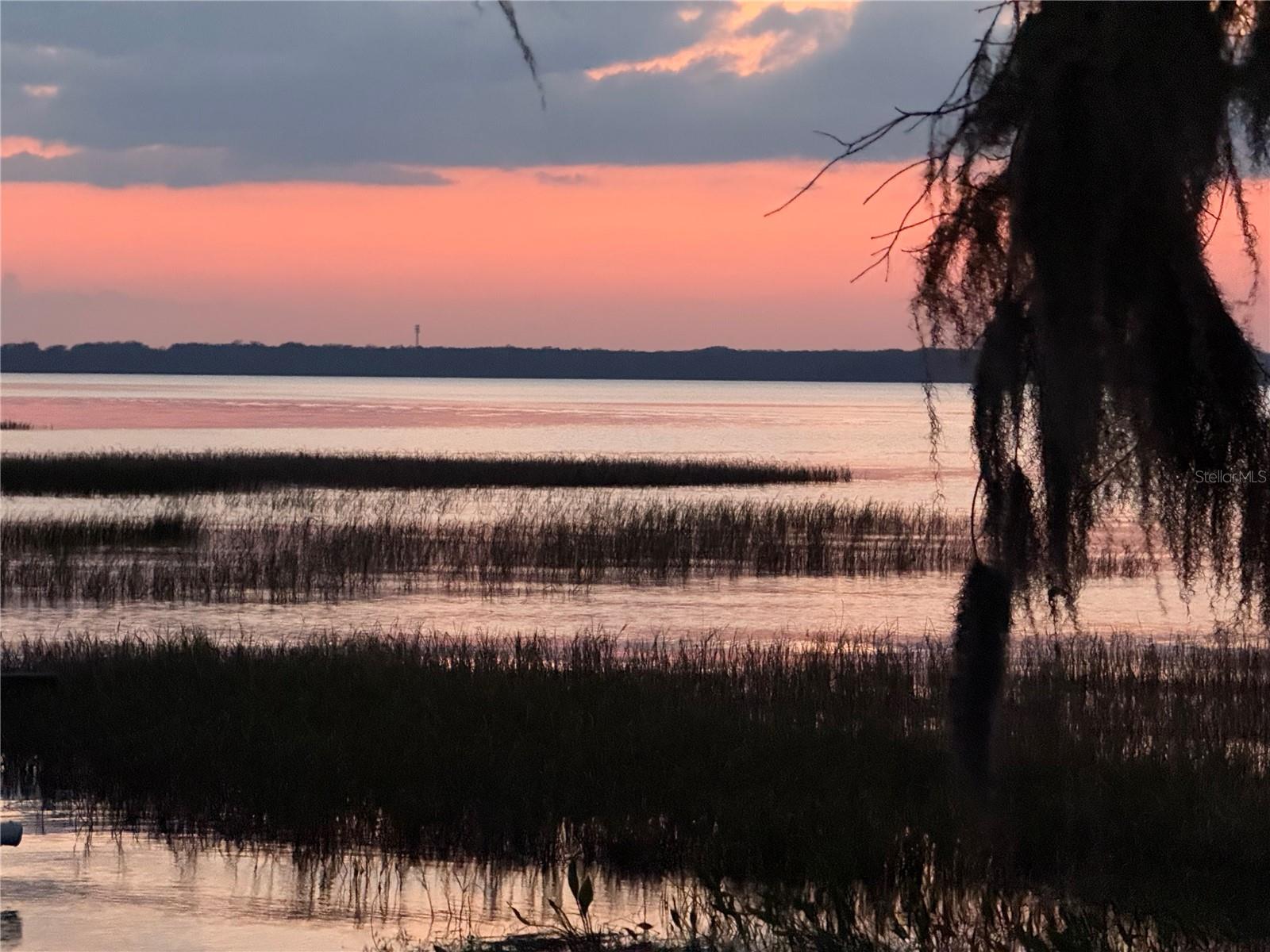 2225 CYPRESS CT #2C, TAVARES, FL — photo 62
