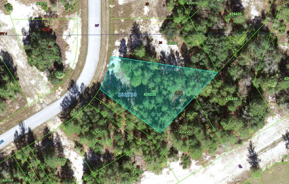 1318 HOMOSASSA DR, KISSIMMEE, FL — photo 2