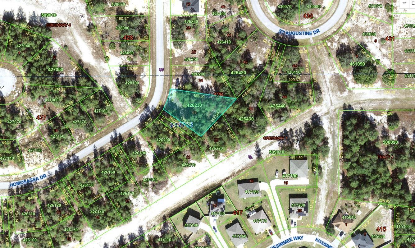 1318 HOMOSASSA DR, KISSIMMEE, FL — photo 6