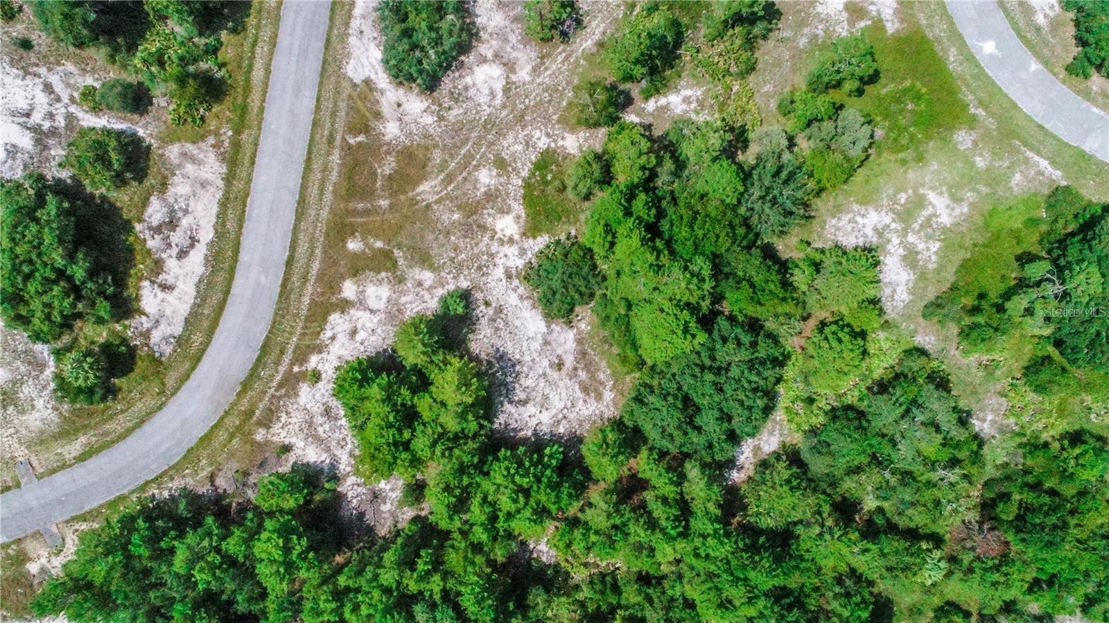 1318 HOMOSASSA DR, KISSIMMEE, FL — photo 7