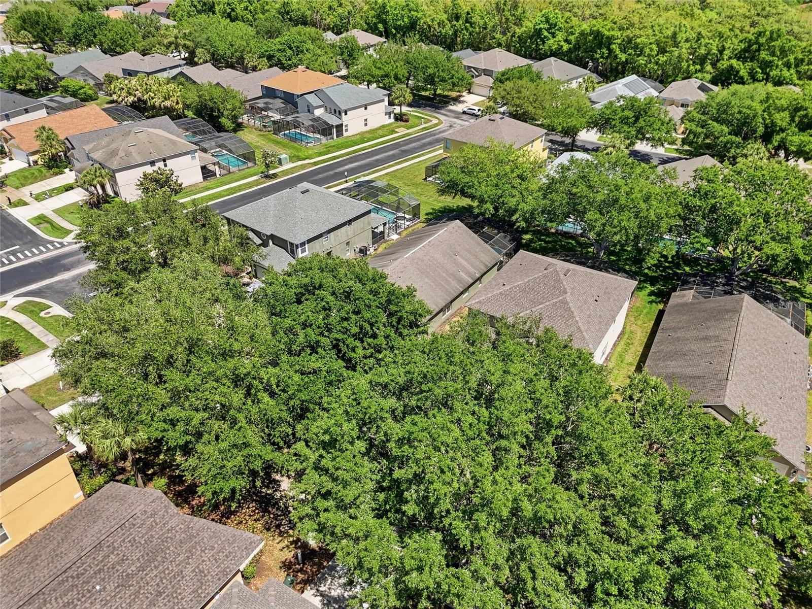 2721 LIDO KEY DR, KISSIMMEE, FL — photo 42