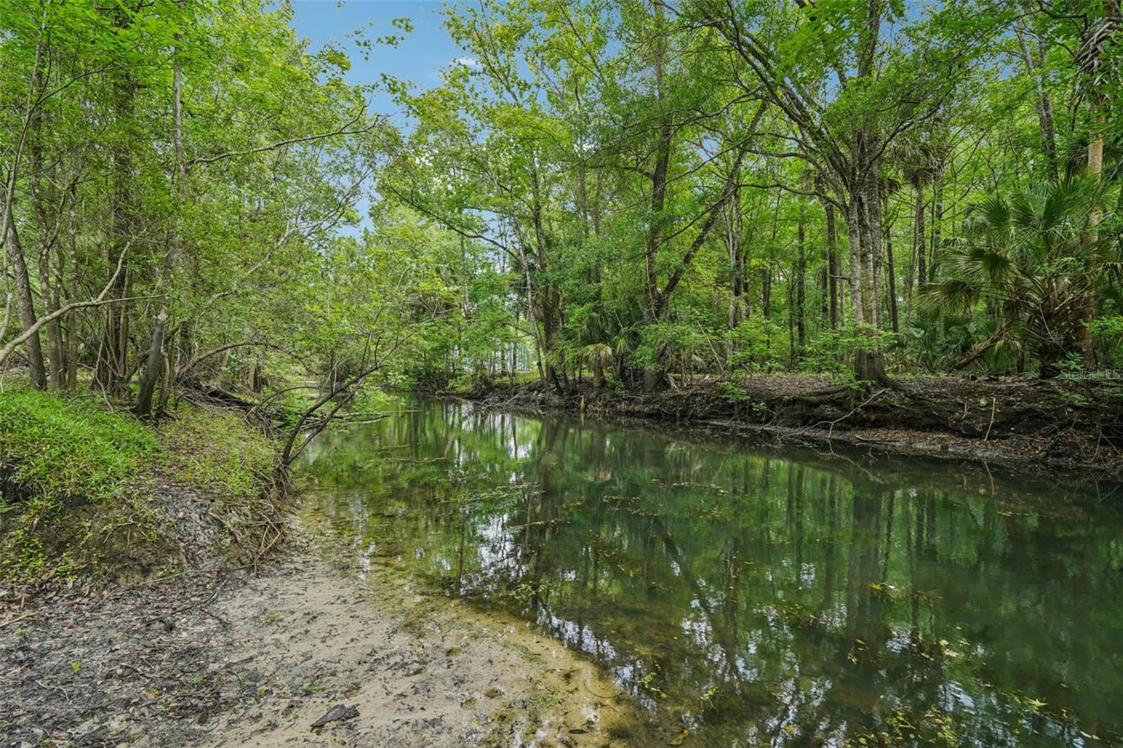 217 S TUCK PT, INVERNESS, FL — photo 5