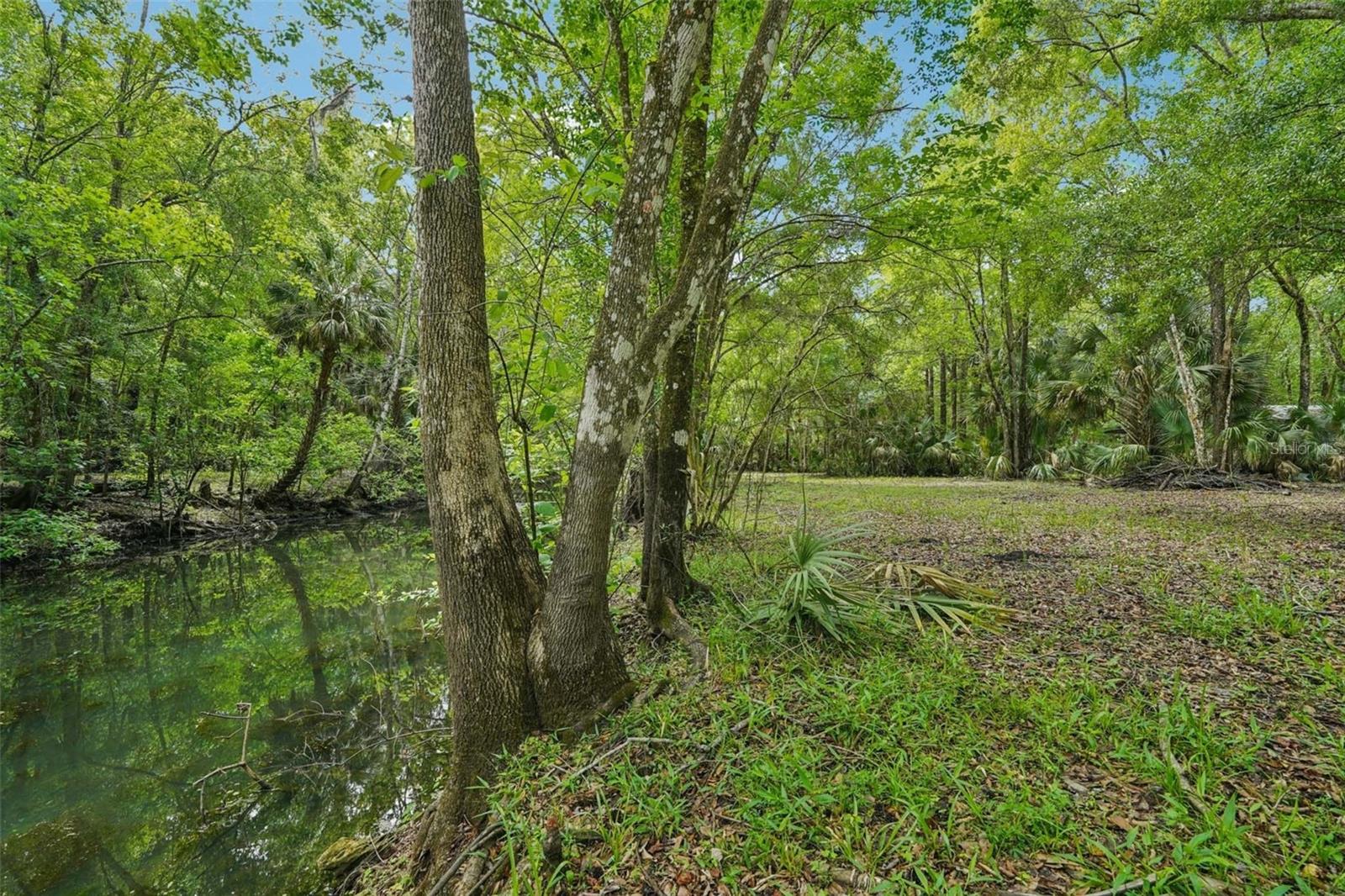 217 S TUCK PT, INVERNESS, FL — photo 6