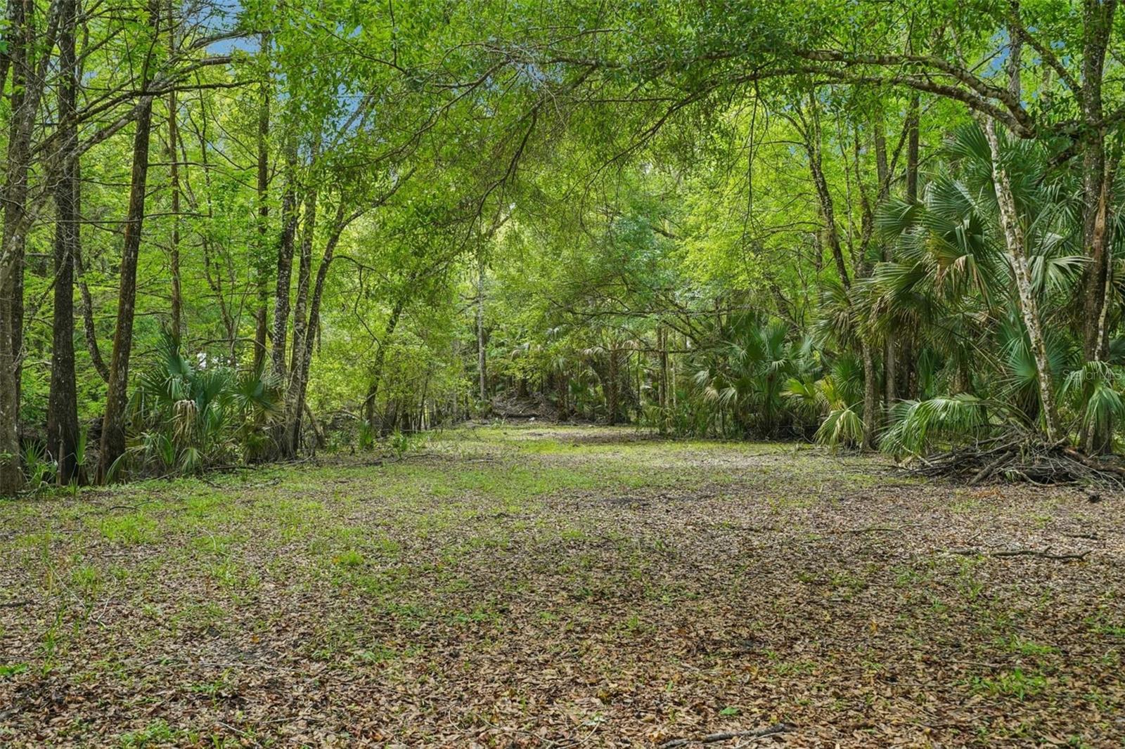 217 S TUCK PT, INVERNESS, FL — photo 7