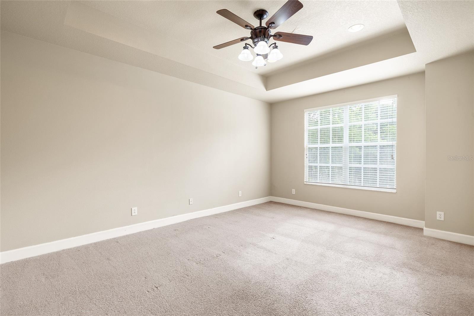 14543 MIRABELLE VISTA CIR, TAMPA, FL — photo 20