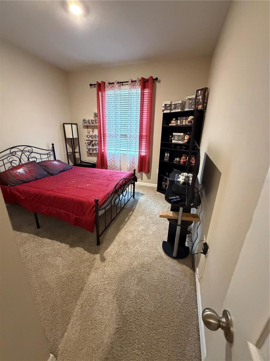 31406 MANGO FADE WAY, SAN ANTONIO, FL — photo 5