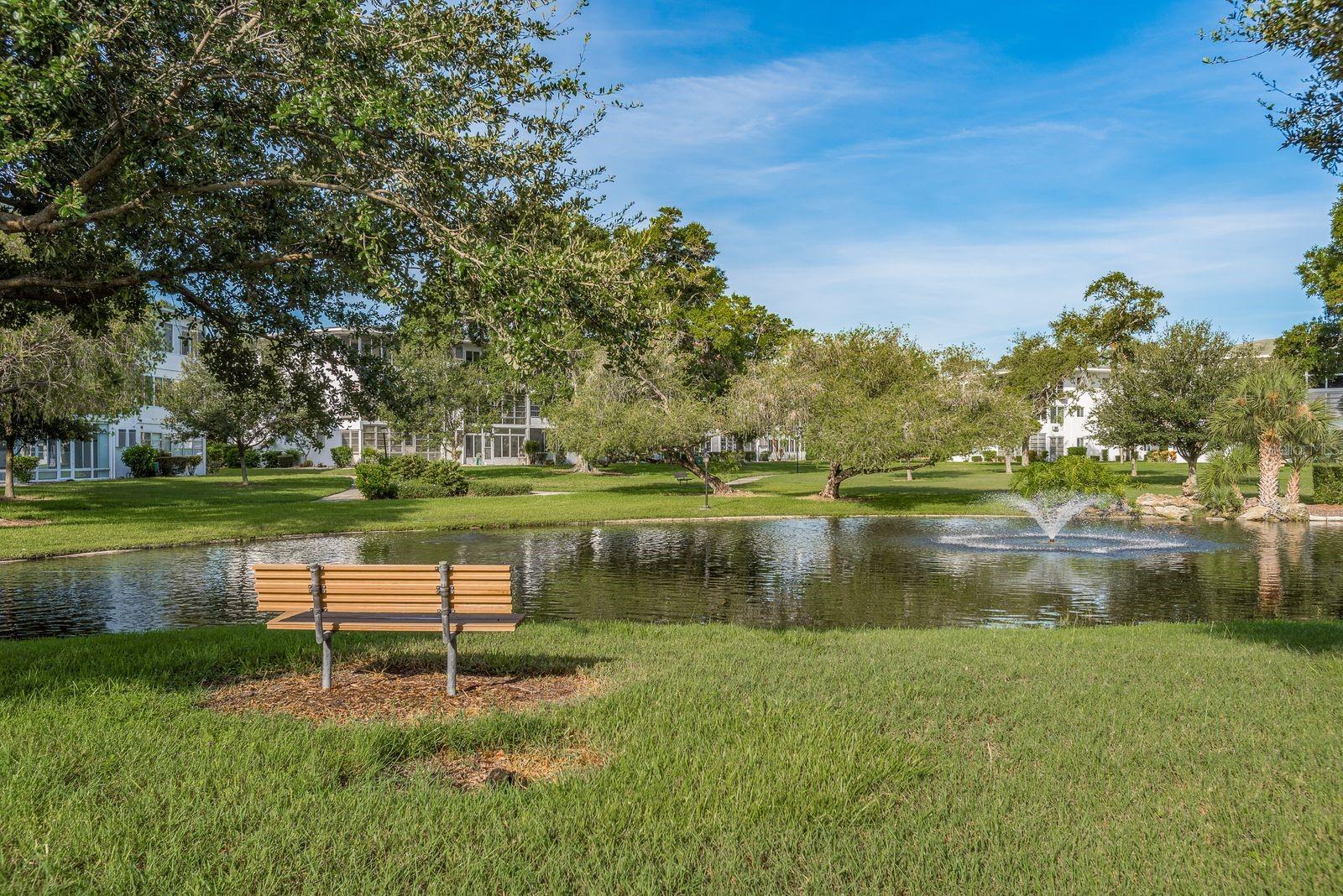 8454 111TH ST #209, SEMINOLE, FL — photo 17