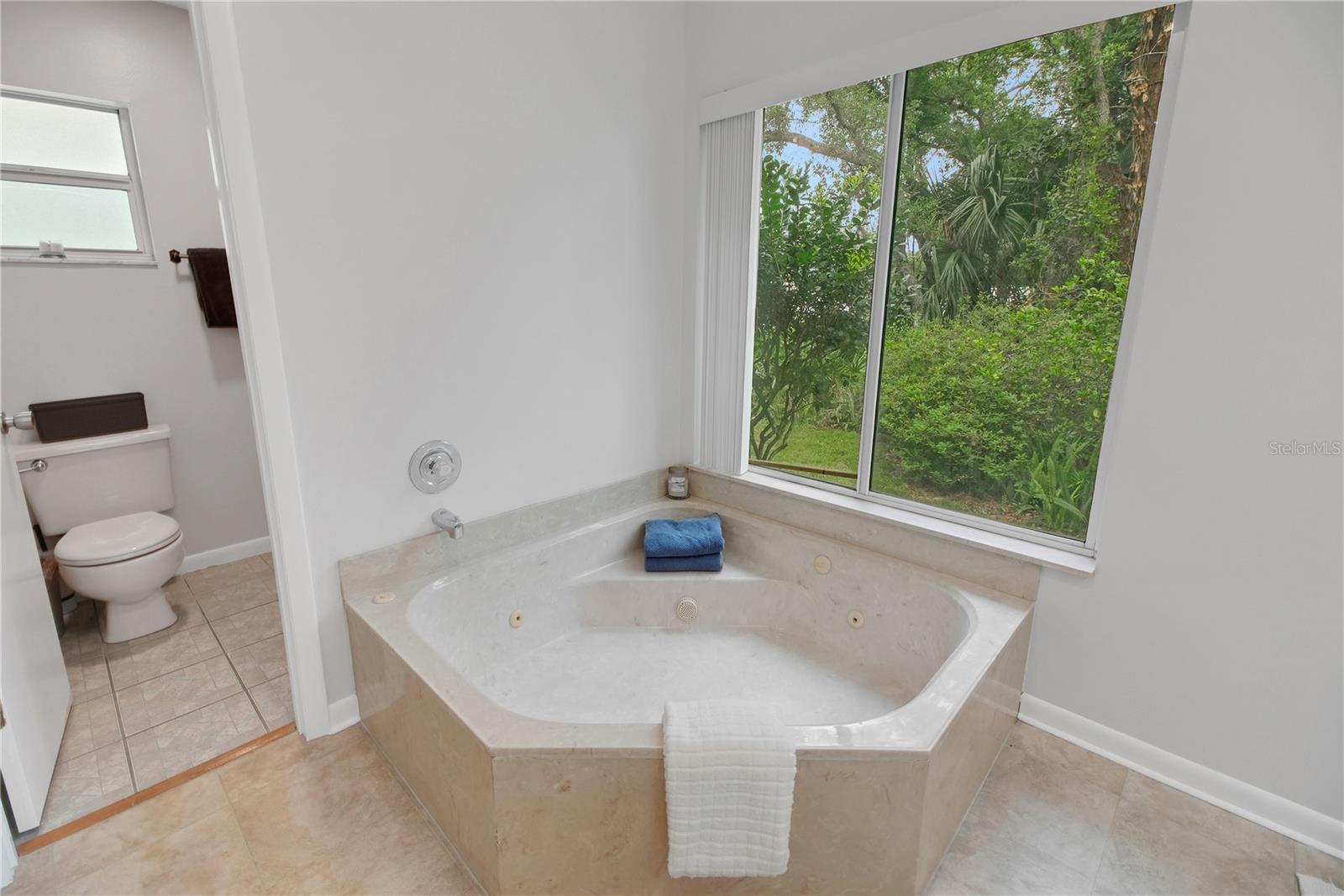 335 RIVER GLASS CT, LEESBURG, FL — photo 80