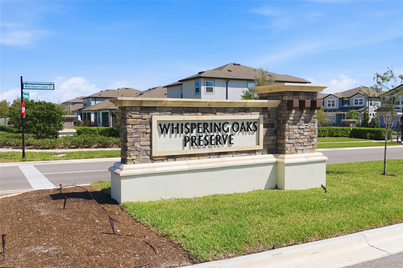 7273 NOTCHED PINE BND, WESLEY CHAPEL, FL — photo 47