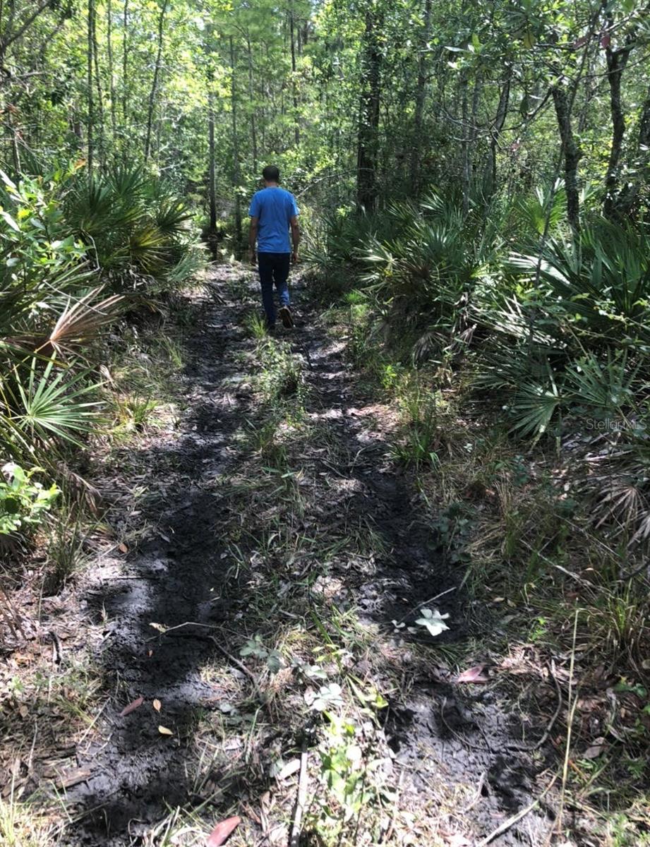 2449 OLD TRAIN RD, DELTONA, FL