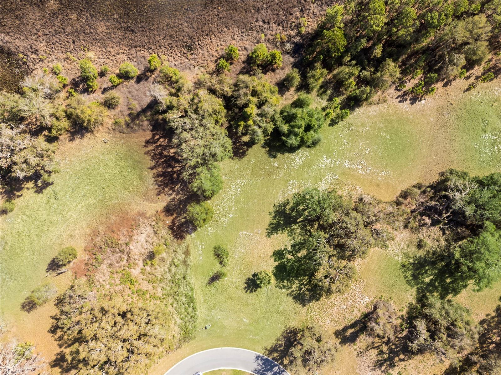476 LONG AND WINDING RD, HOWEY IN THE HILLS, FL — photo 27