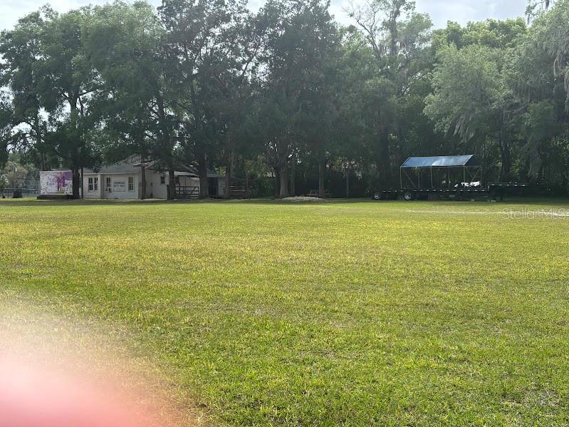 11471 E HIGHWAY 316, FORT MC COY, FL — photo 4