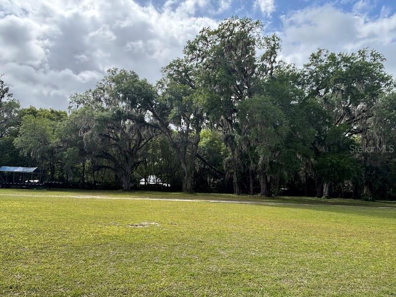 11471 E HIGHWAY 316, FORT MC COY, FL — photo 17