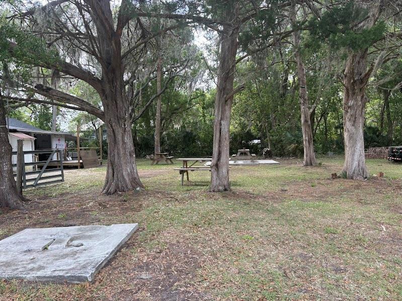 11471 E HIGHWAY 316, FORT MC COY, FL — photo 30