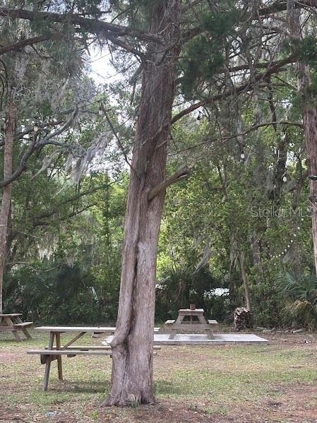 11471 E HIGHWAY 316, FORT MC COY, FL — photo 31