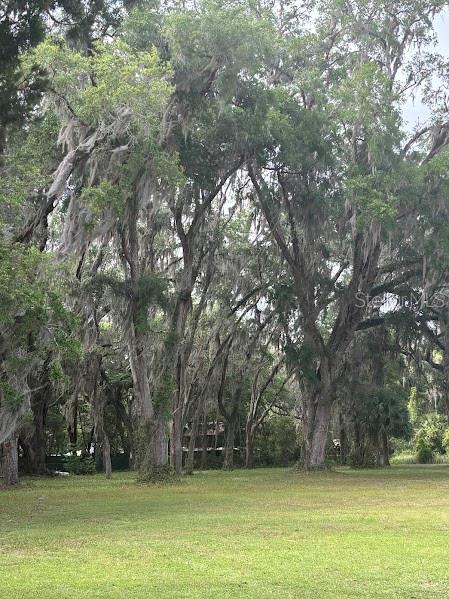 11471 E HIGHWAY 316, FORT MC COY, FL — photo 32