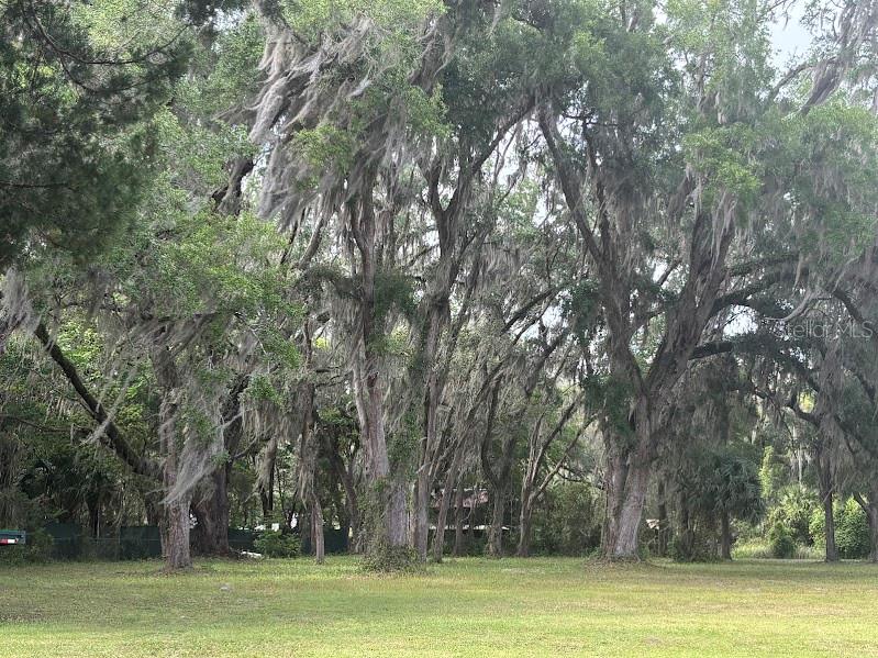 11471 E HIGHWAY 316, FORT MC COY, FL — photo 33