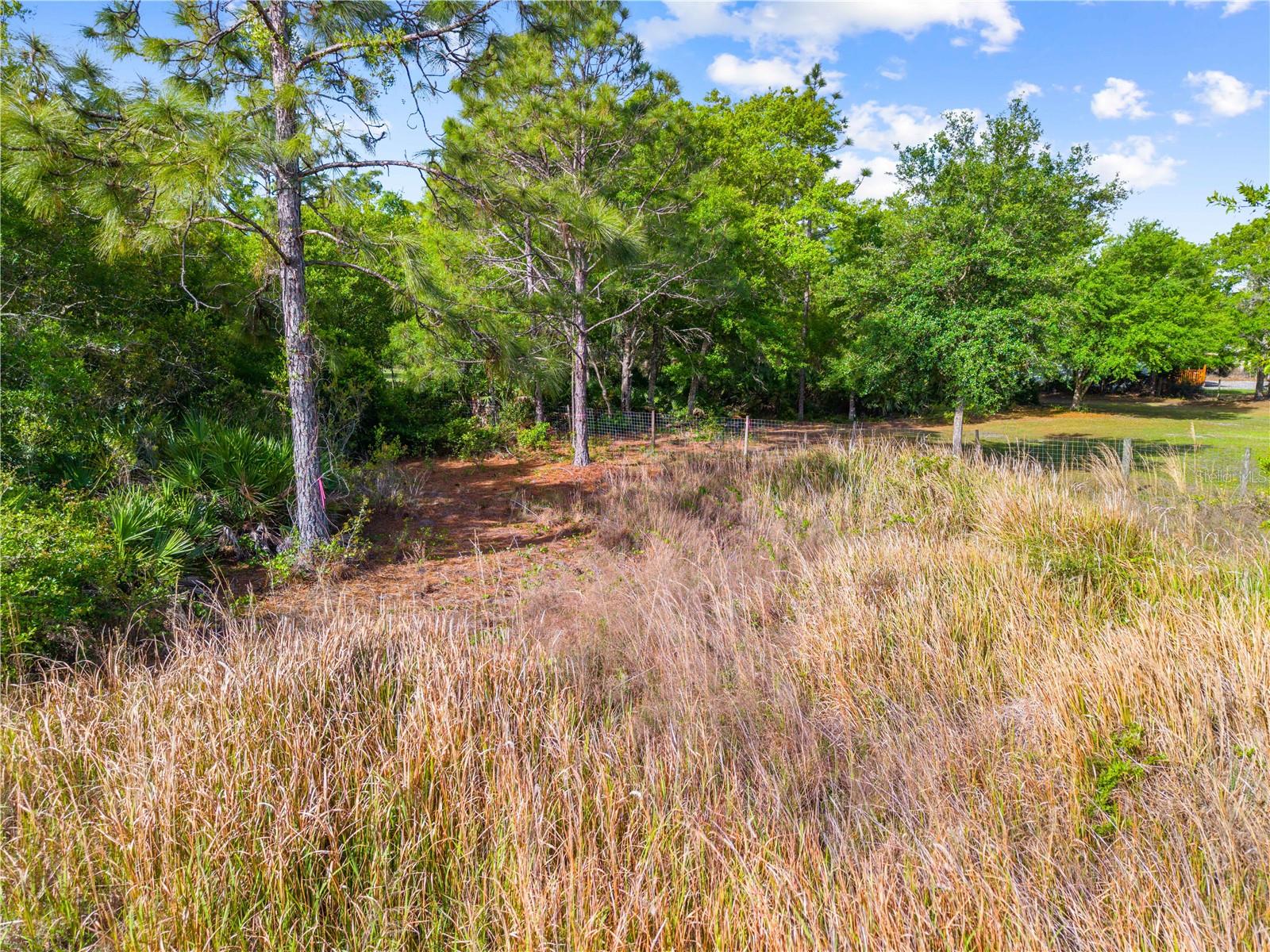 0 RICHMOND AVE, ST CLOUD, FL — photo 4