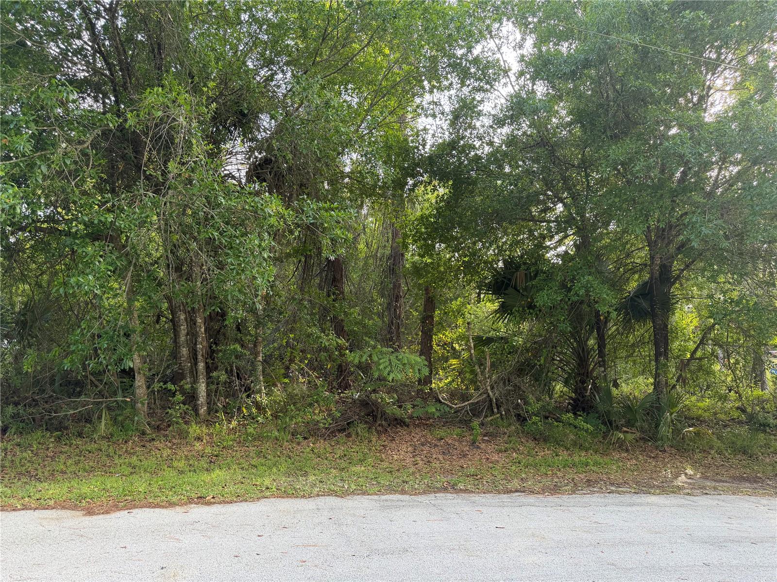 11 PATRICK PL, PALM COAST, FL