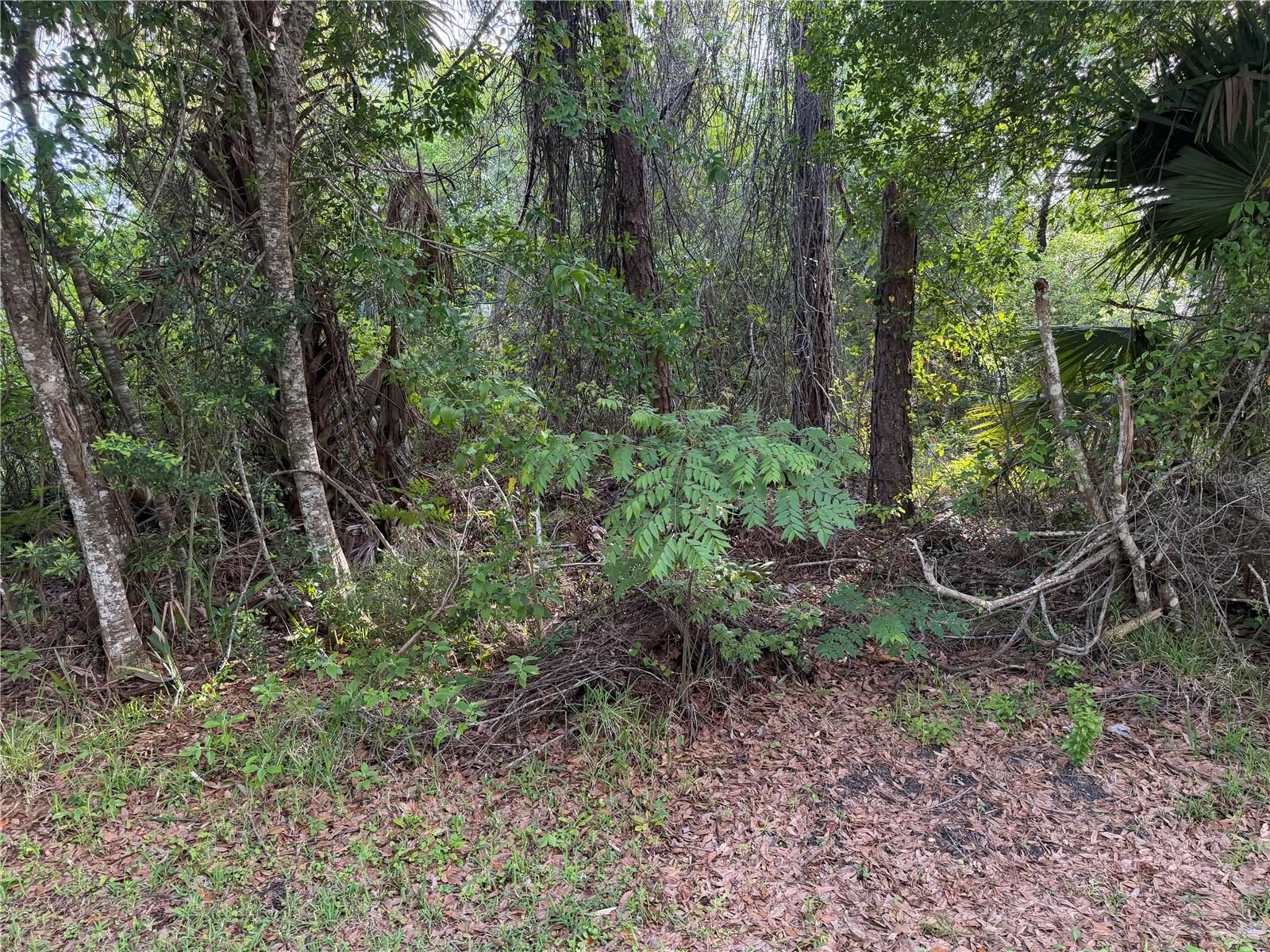11 PATRICK PL, PALM COAST, FL — photo 3