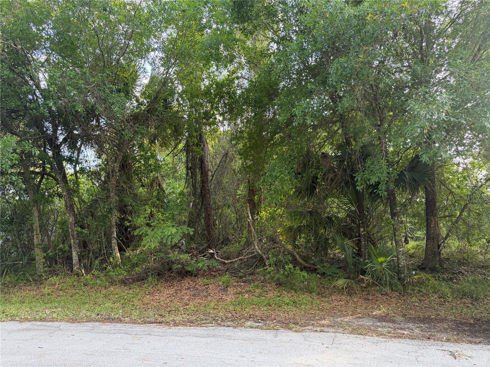 11 PATRICK PL, PALM COAST, FL — photo 4