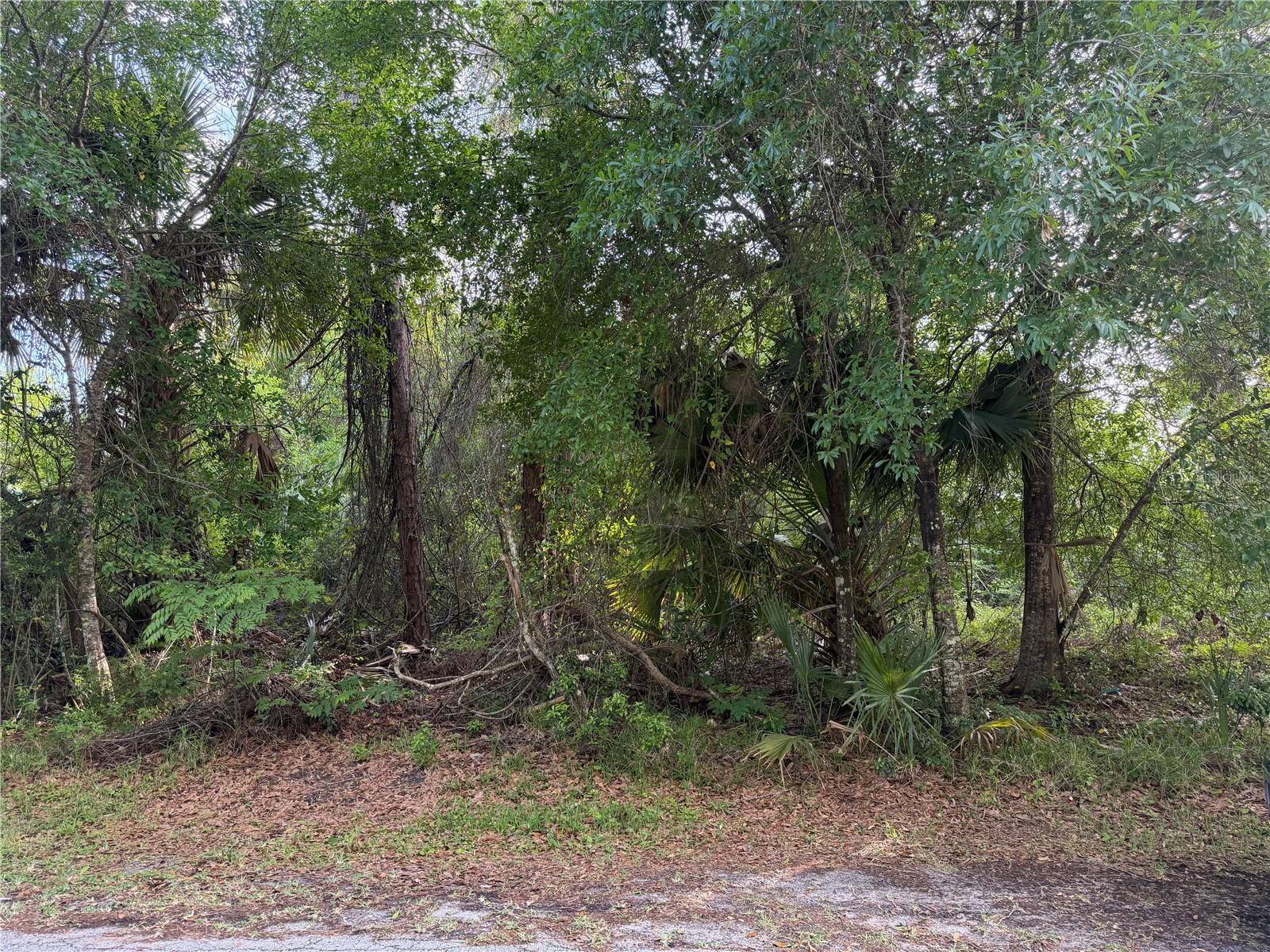 11 PATRICK PL, PALM COAST, FL — photo 5