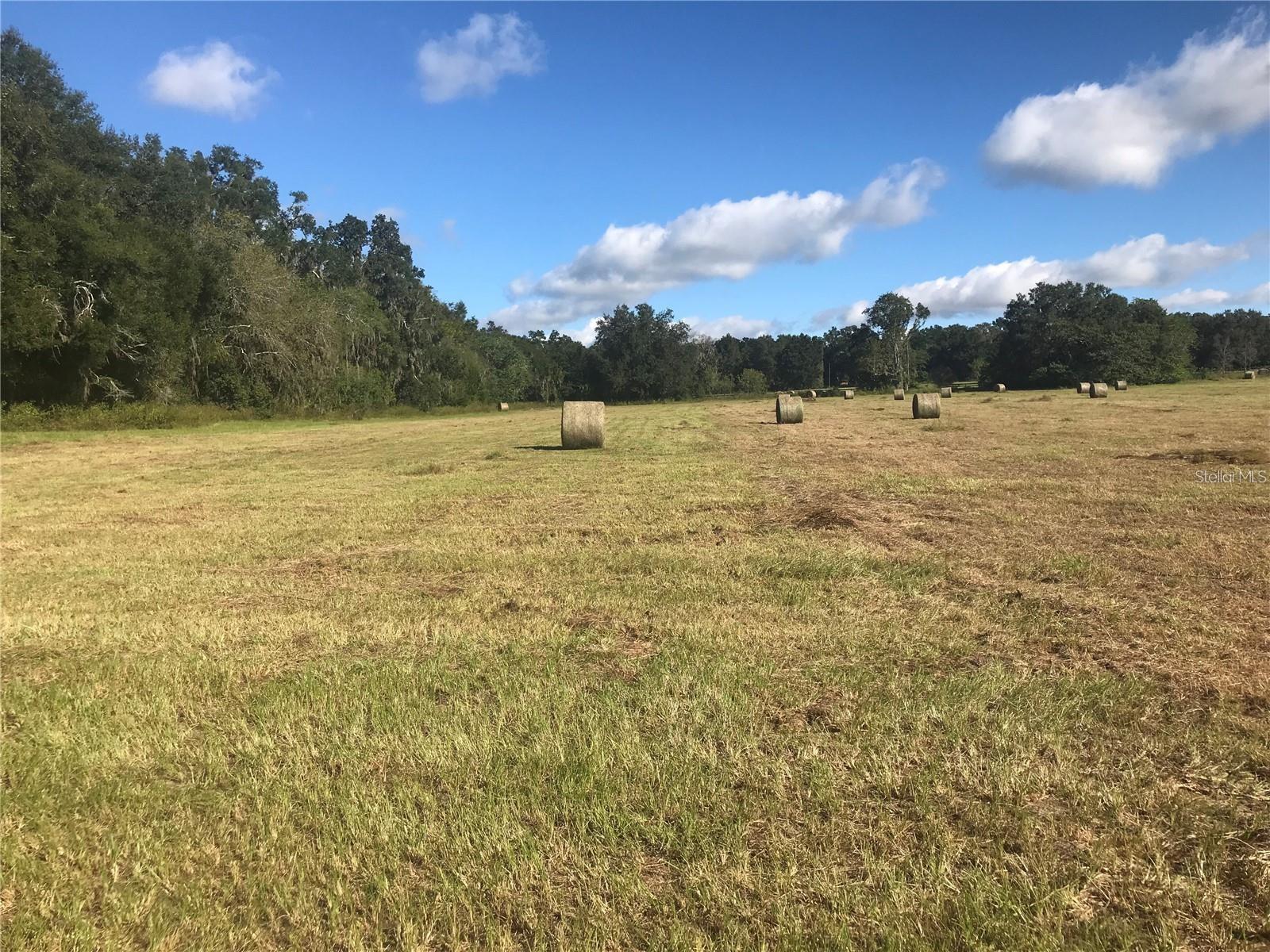 TBD NW 133RD, REDDICK, FL