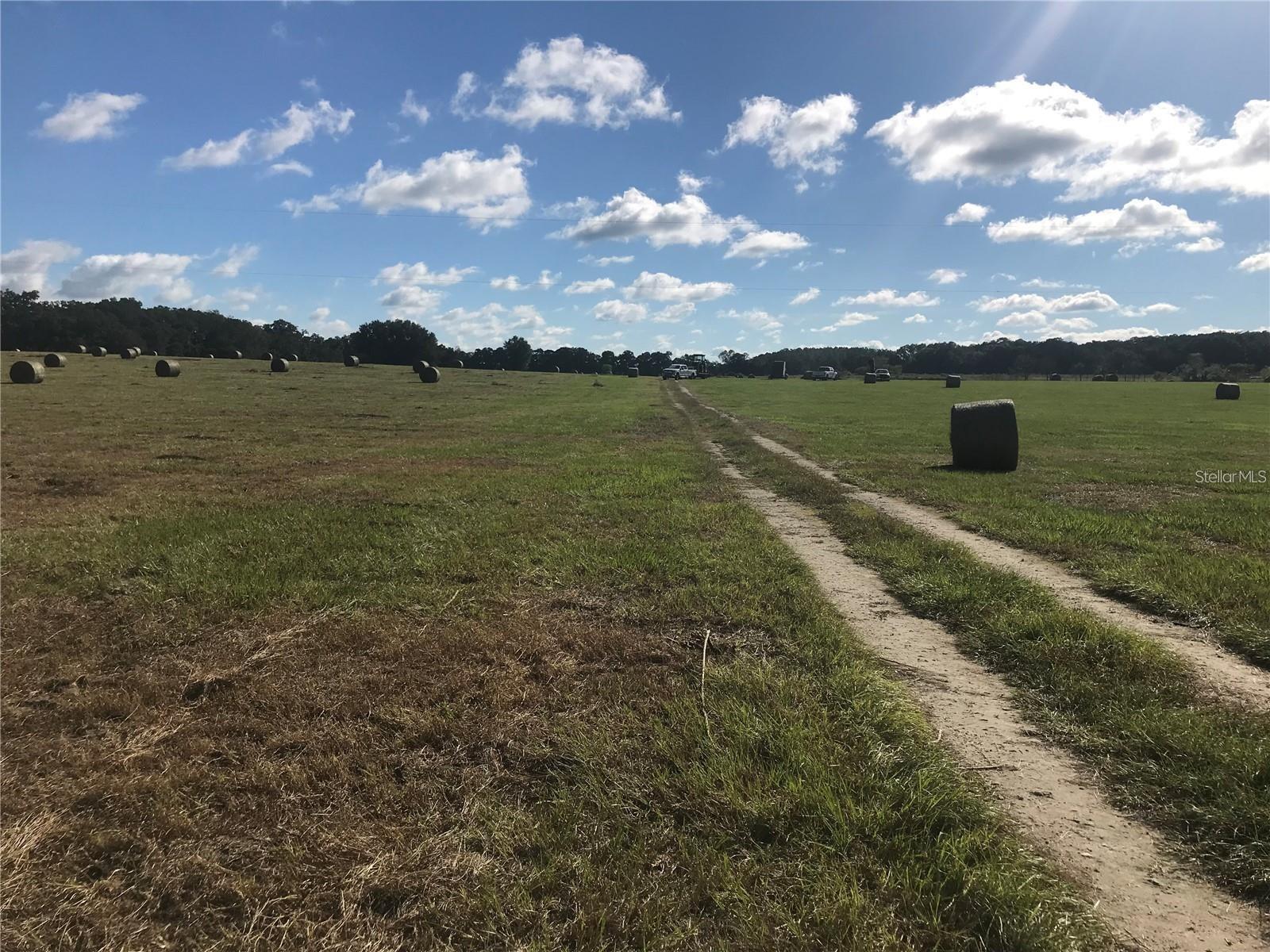 TBD NW 133RD, REDDICK, FL — photo 2