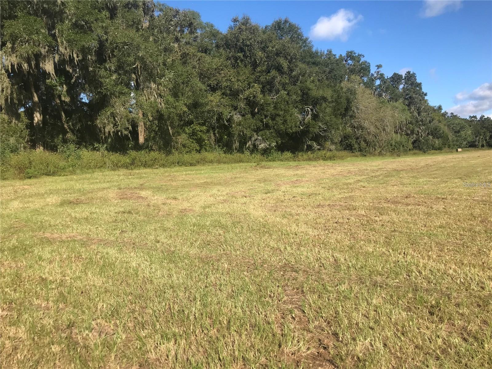 TBD NW 133RD, REDDICK, FL — photo 3