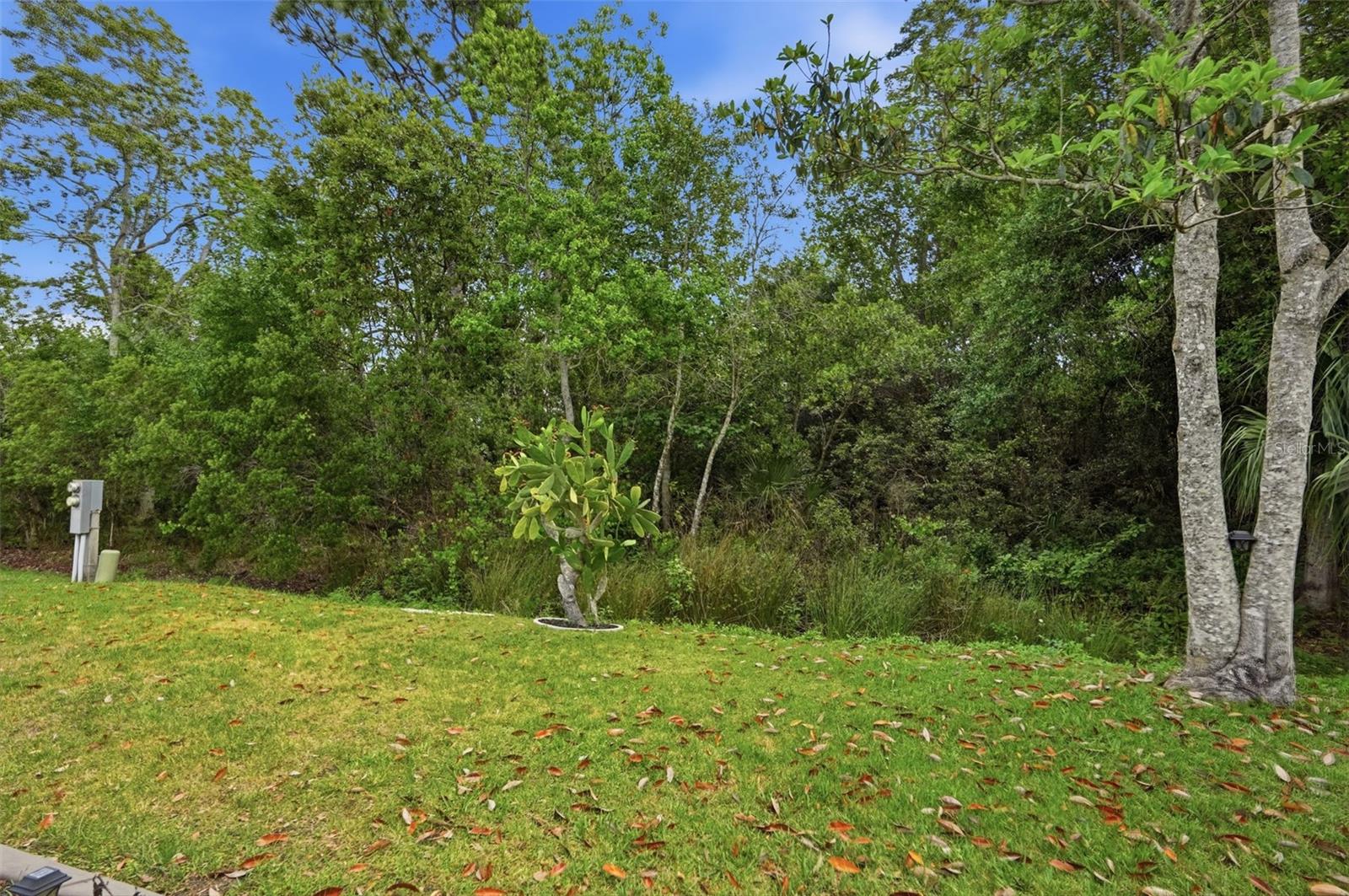 5161 FOREST GLENN DR, SPRING HILL, FL — photo 39