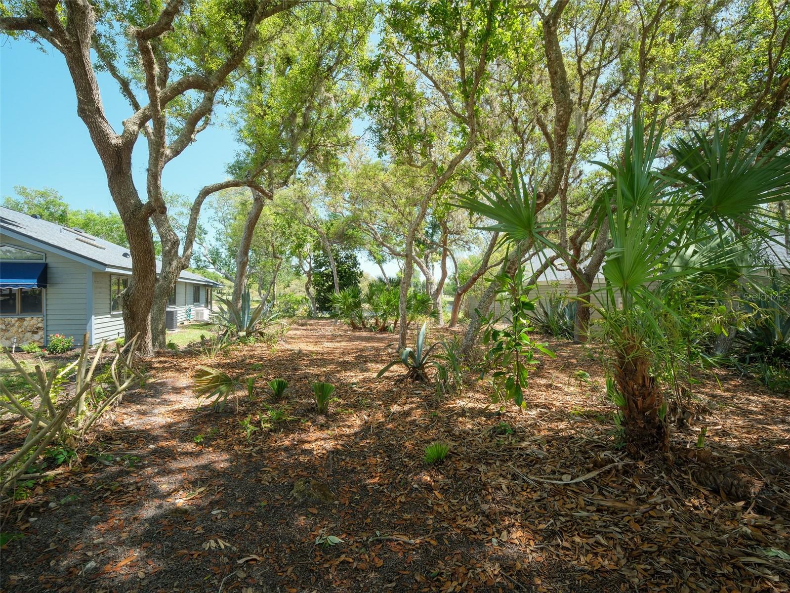 1107 LOCH LOMOND CT, NEW SMYRNA BEACH, FL — photo 3