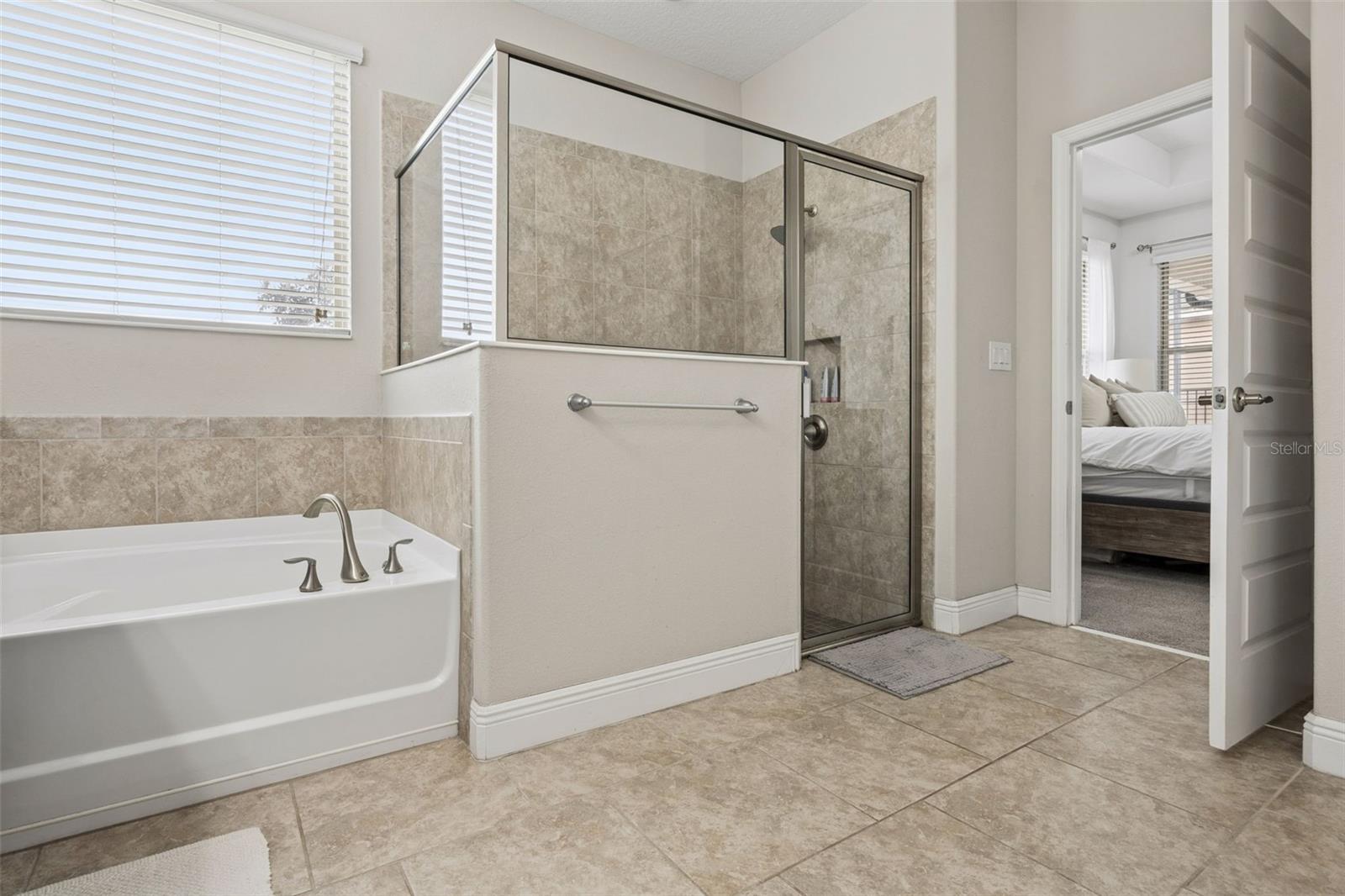 8275 BAYVIEW CROSSING DR, WINTER GARDEN, FL — photo 24