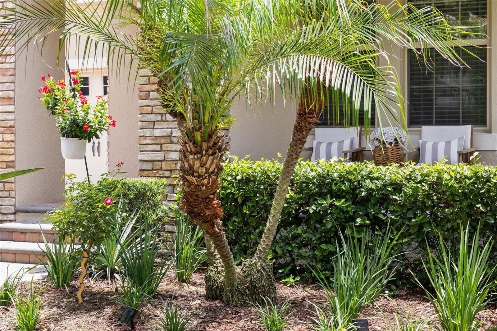 8275 BAYVIEW CROSSING DR, WINTER GARDEN, FL — photo 41