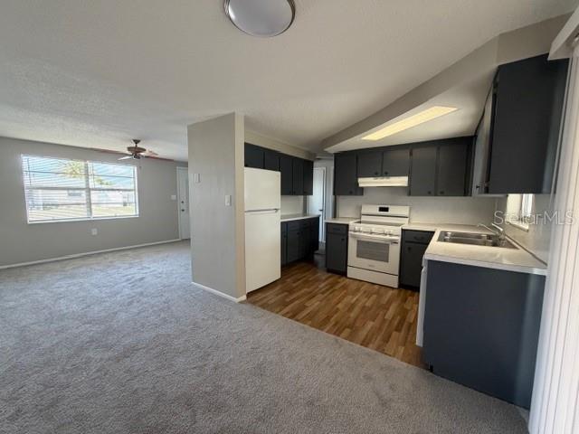 3220 HUNTINGTON RD, HOLIDAY, FL — photo 7
