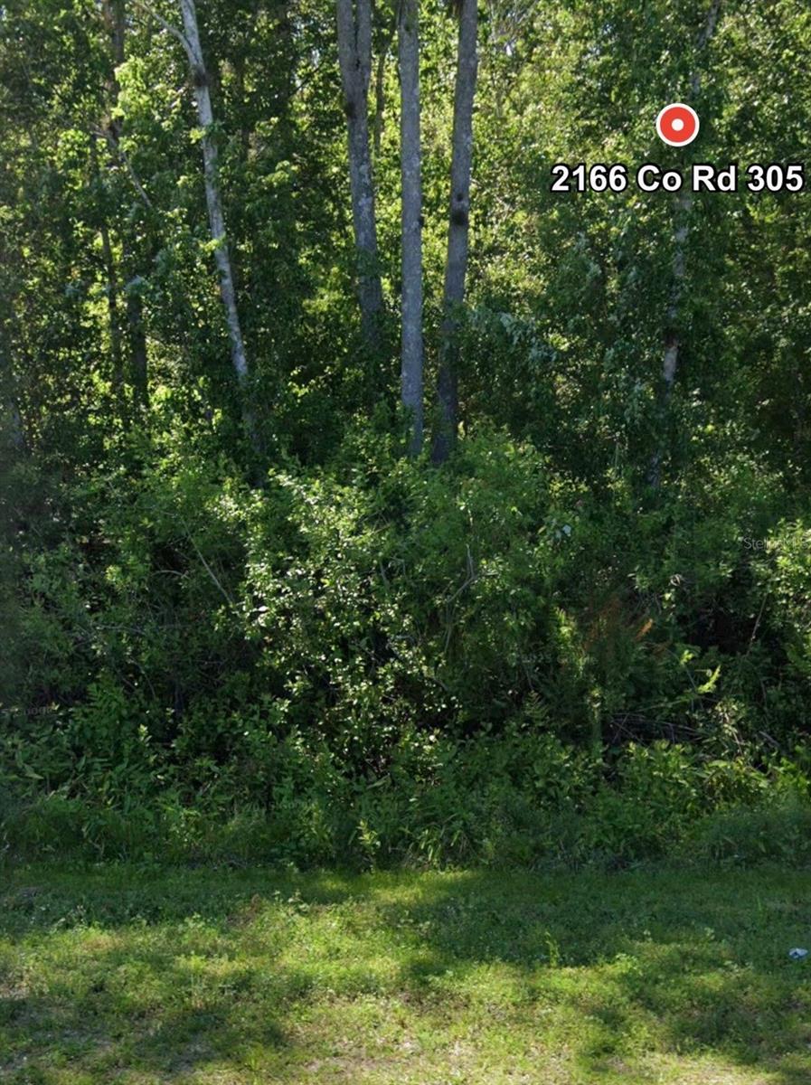 2166 CR-305, BUNNELL, FL