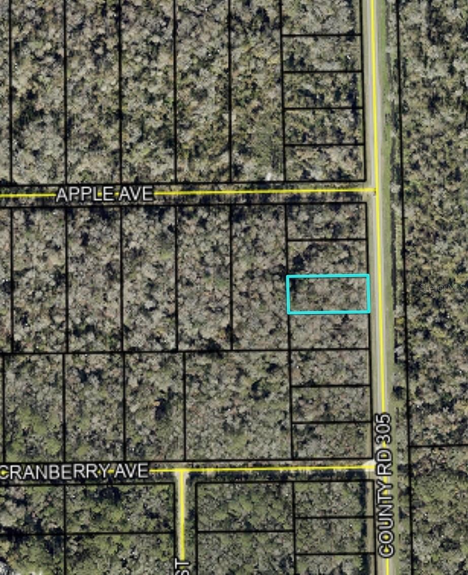 2166 CR-305, BUNNELL, FL — photo 3