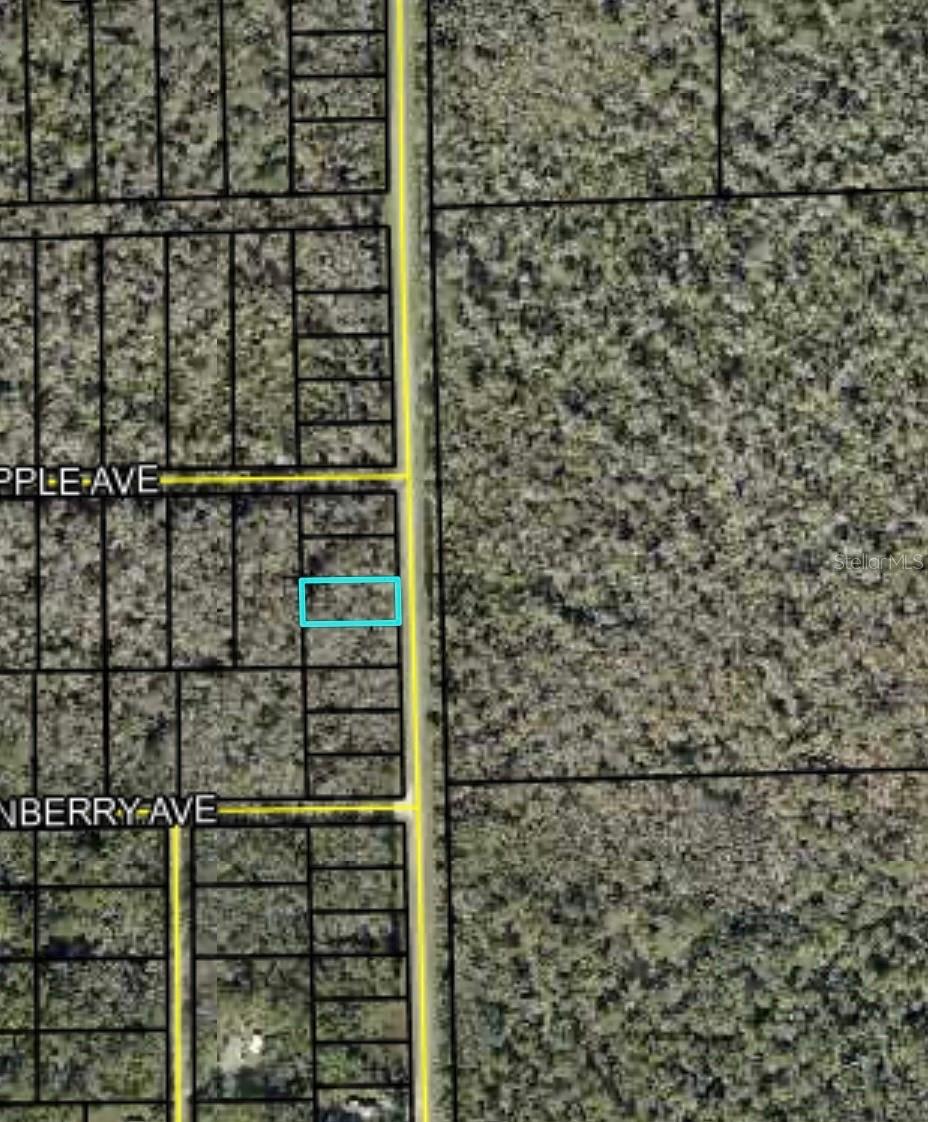 2166 CR-305, BUNNELL, FL — photo 4