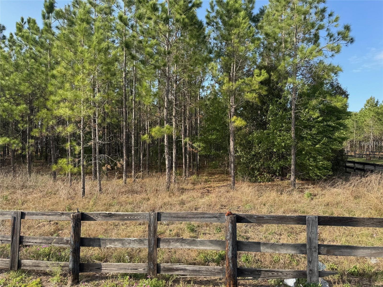 STATE ROAD 44, EUSTIS, FL