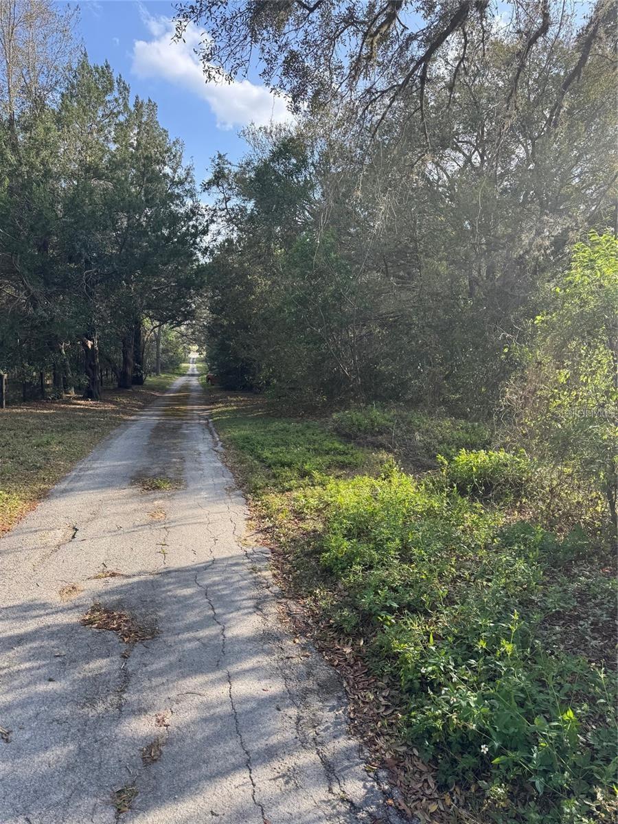 STATE ROAD 44, EUSTIS, FL — photo 3