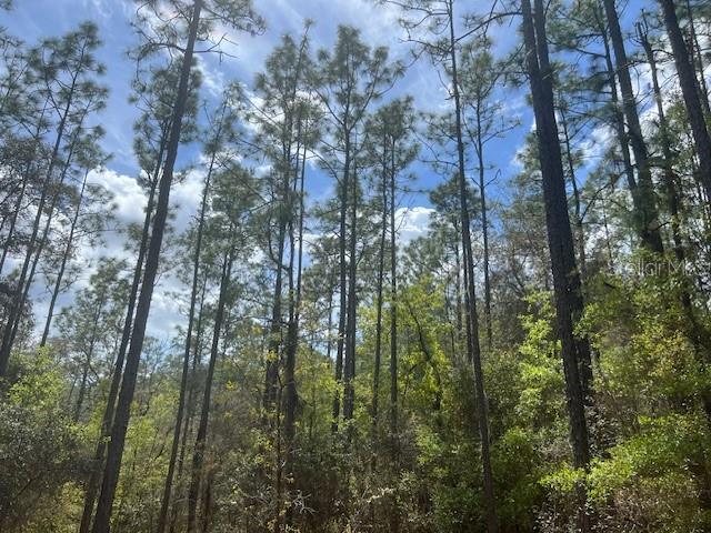181 WHIRLWIND LOOP, HAWTHORNE, FL — photo 2