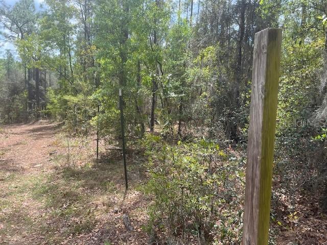 181 WHIRLWIND LOOP, HAWTHORNE, FL — photo 5