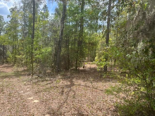 181 WHIRLWIND LOOP, HAWTHORNE, FL — photo 6