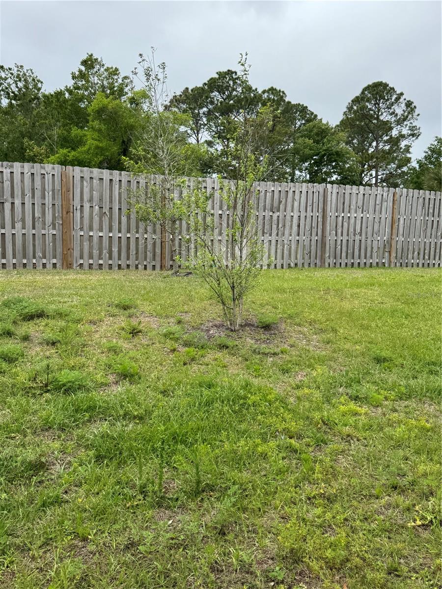 203 CHESTERWOOD RD, ST AUGUSTINE, FL — photo 22