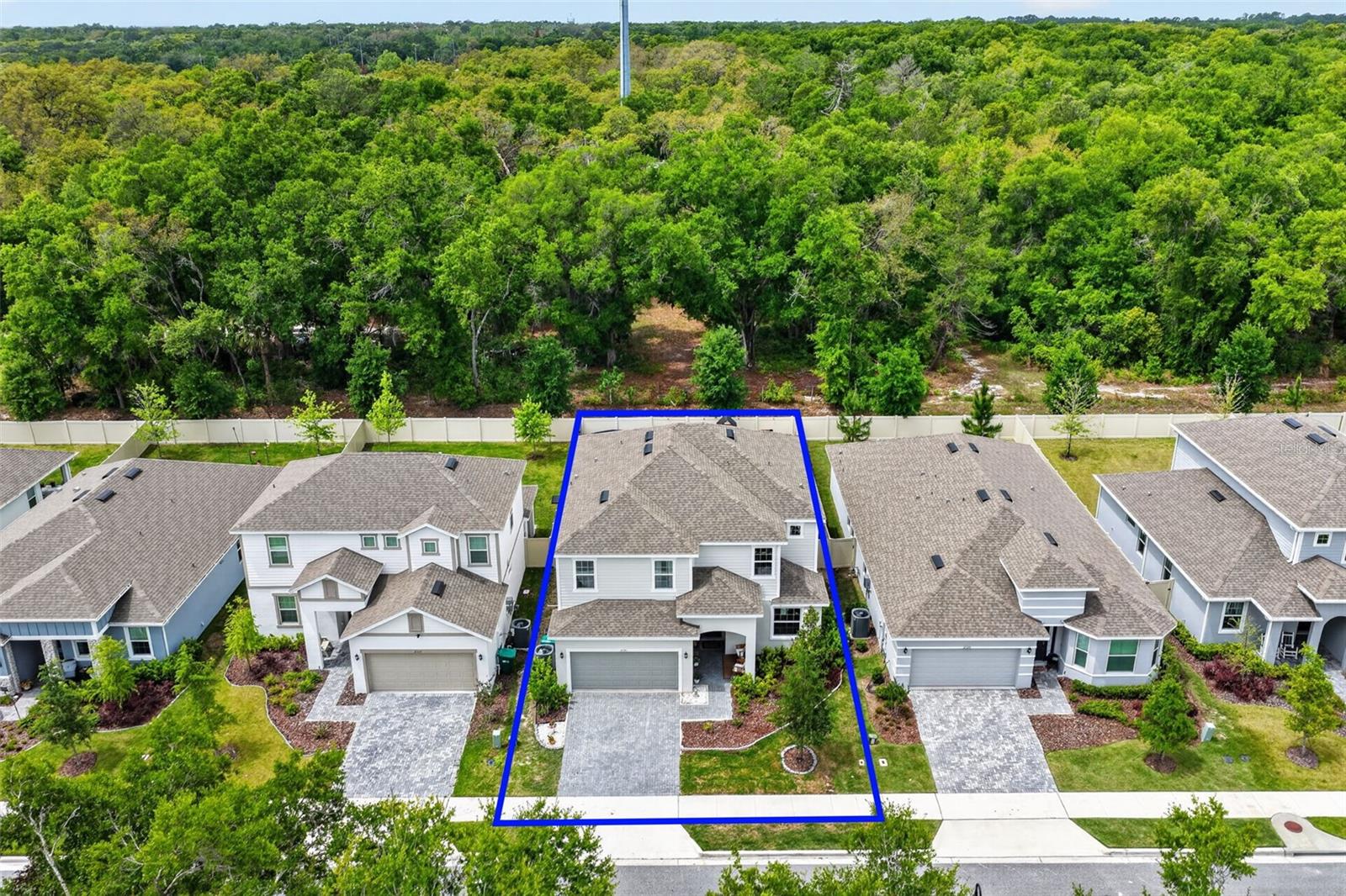 2341 SIRENA LN, MOUNT DORA, FL — photo 5