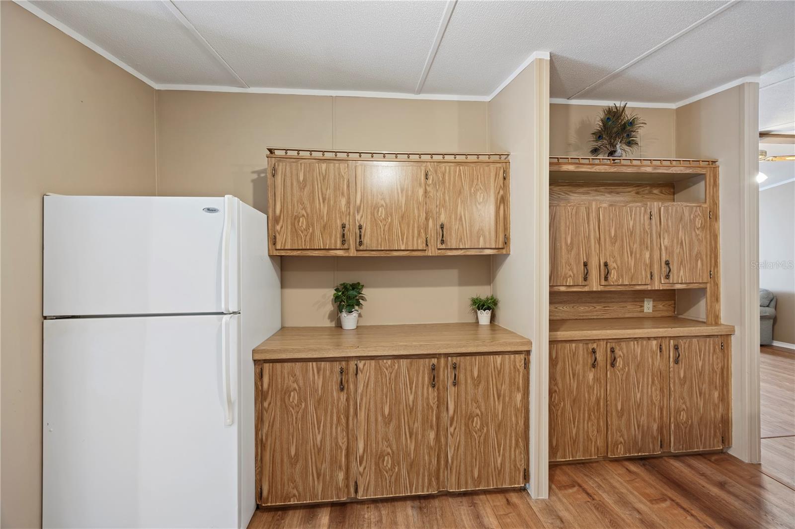 36833 SHADOW HILL DR, FRUITLAND PARK, FL — photo 51