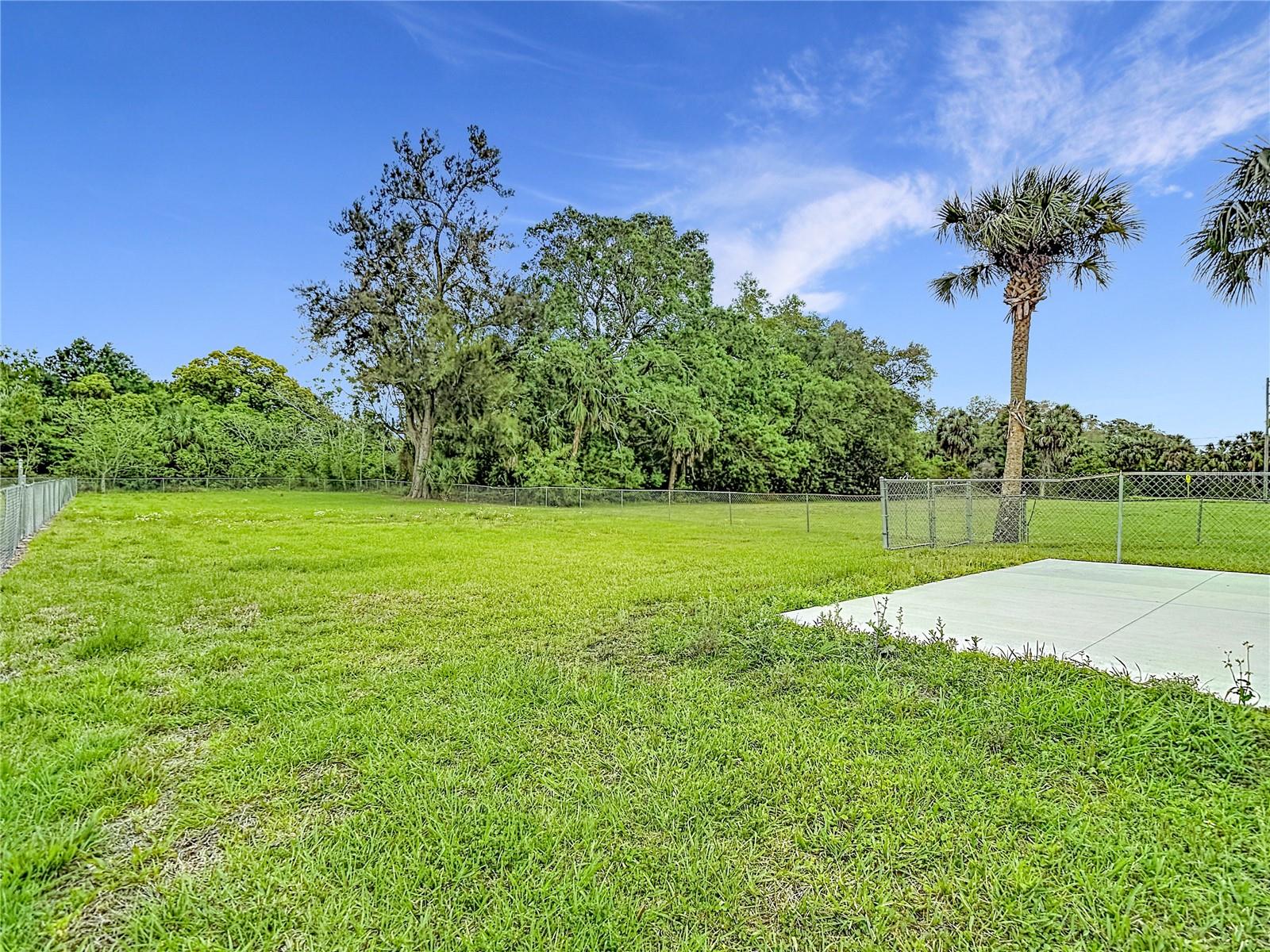 14306 GUAVA STREET, HUDSON, FL — photo 22