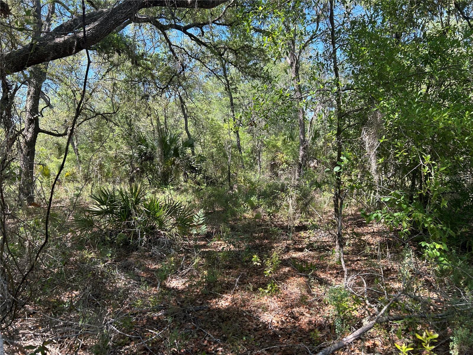 TBD SE 62ND, MORRISTON, FL — photo 2