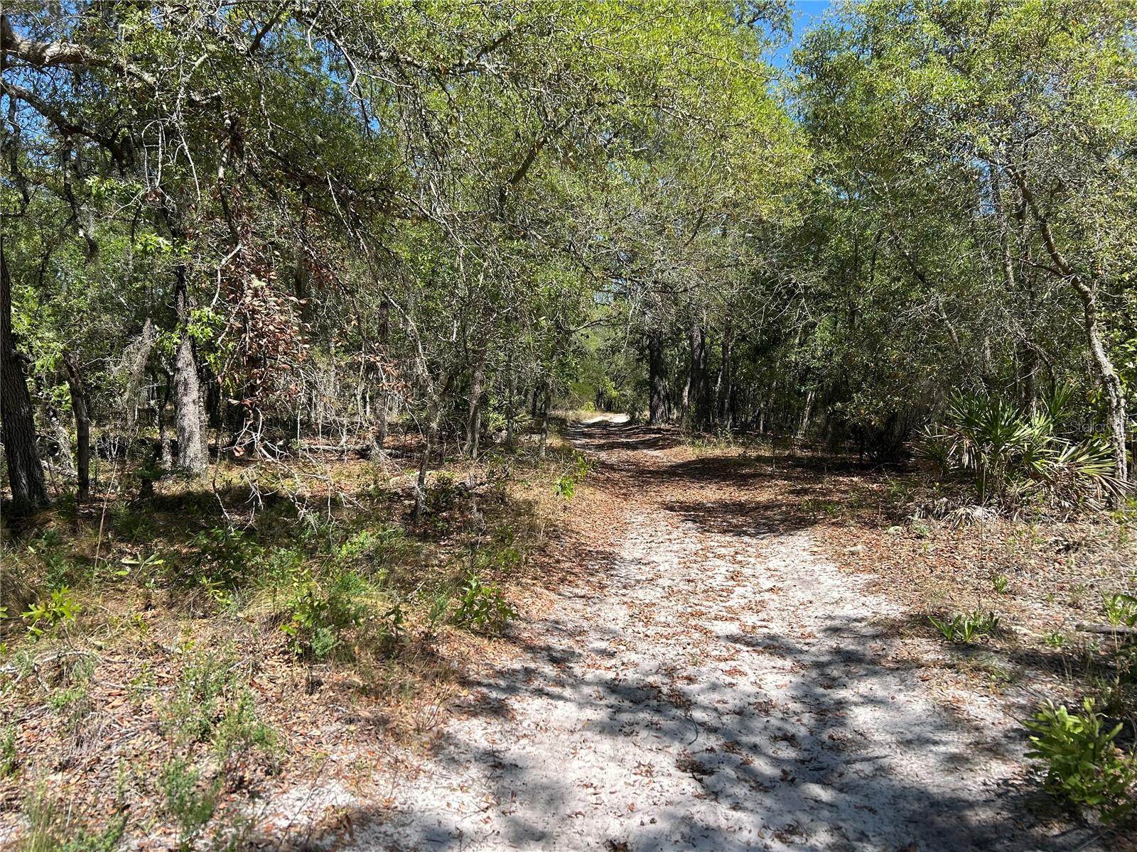 TBD SE 62ND, MORRISTON, FL — photo 6