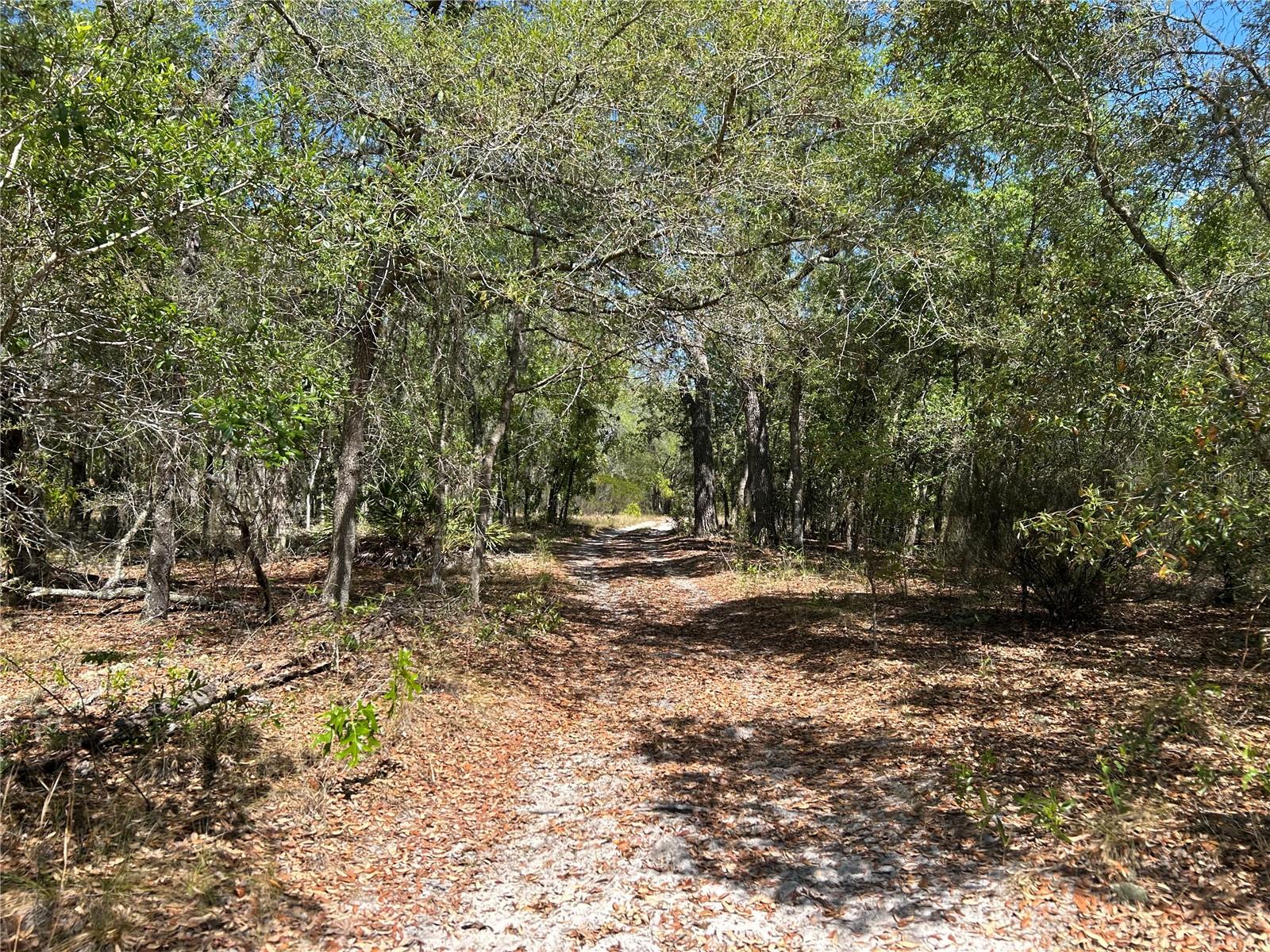 TBD SE 62ND, MORRISTON, FL — photo 7