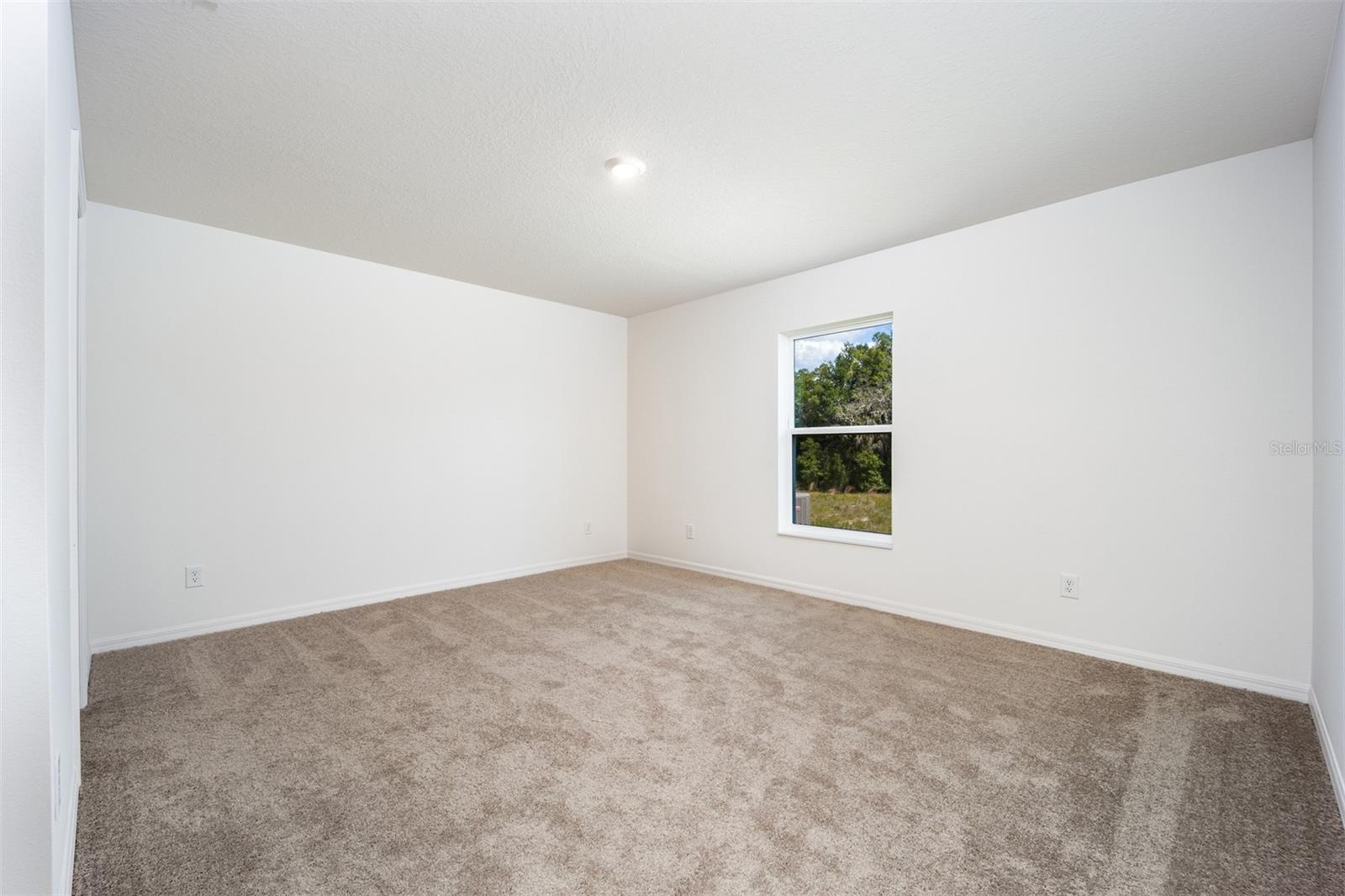 3180 SEVILLE ST, LAKE ALFRED, FL — photo 10